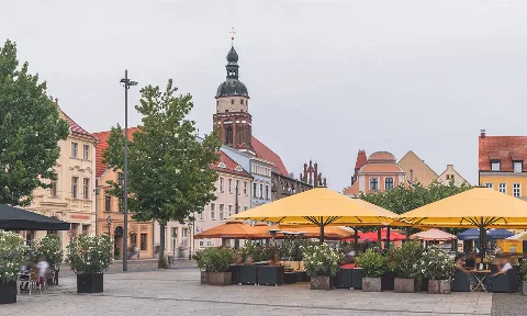 Curățenie bucătărie Cottbus